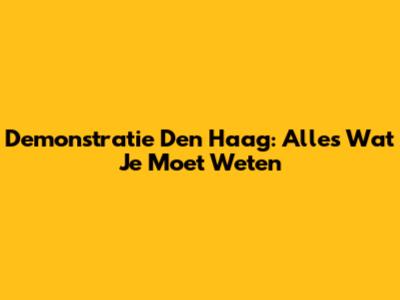 Demonstratie Den Haag: Alles Wat Je Moet Weten