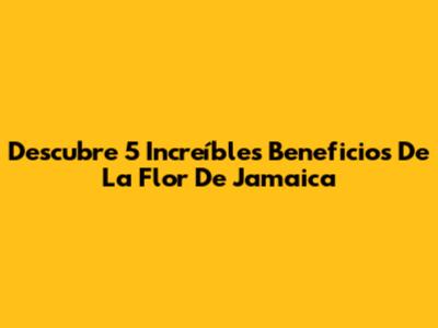 Descubre 5 Increíbles Beneficios De La Flor De Jamaica