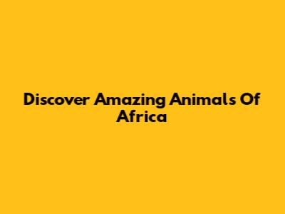 Discover Amazing Animals Of Africa