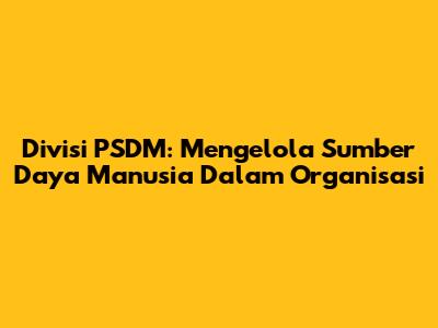 Divisi PSDM: Mengelola Sumber Daya Manusia Dalam Organisasi