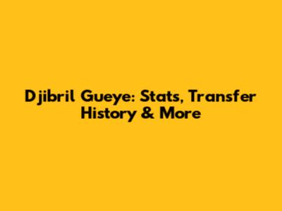 Djibril Gueye: Stats, Transfer History & More