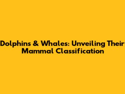 Dolphins & Whales: Unveiling Their Mammal Classification