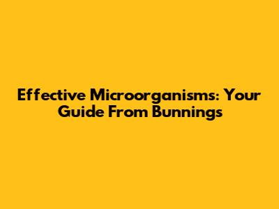Effective Microorganisms: Your Guide From Bunnings