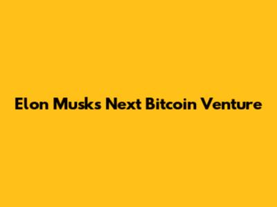 Elon Musk's Next Bitcoin Venture