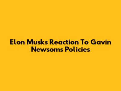 Elon Musk's Reaction To Gavin Newsom's Policies