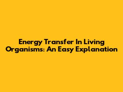 Energy Transfer In Living Organisms: An Easy Explanation