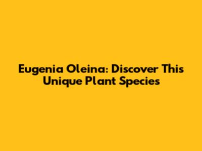 Eugenia Oleina: Discover This Unique Plant Species