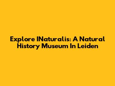 Explore INaturalis: A Natural History Museum In Leiden