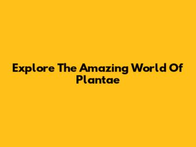 Explore The Amazing World Of Plantae