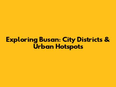 Exploring Busan: City Districts & Urban Hotspots