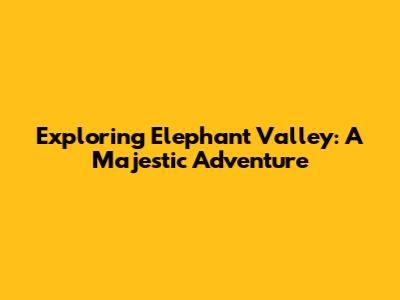 Exploring Elephant Valley: A Majestic Adventure