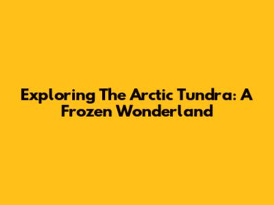 Exploring The Arctic Tundra: A Frozen Wonderland