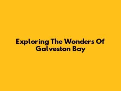 Exploring The Wonders Of Galveston Bay