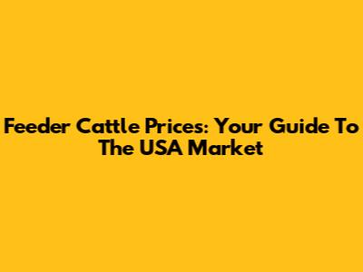 Feeder Cattle Prices: Your Guide To The USA Market