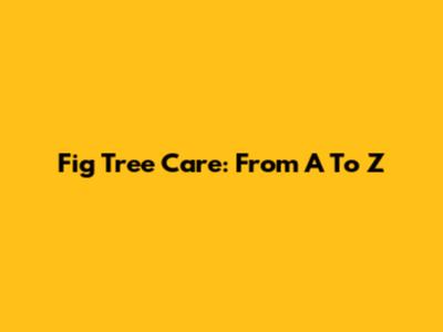 Fig Tree Care: From A To Z
