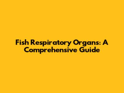 Fish Respiratory Organs: A Comprehensive Guide