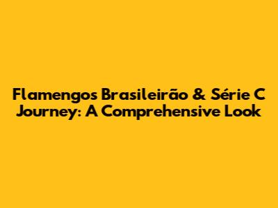 Flamengo's Brasileirão & Série C Journey: A Comprehensive Look