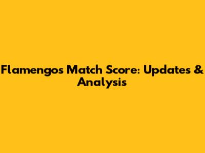 Flamengo's Match Score: Updates & Analysis