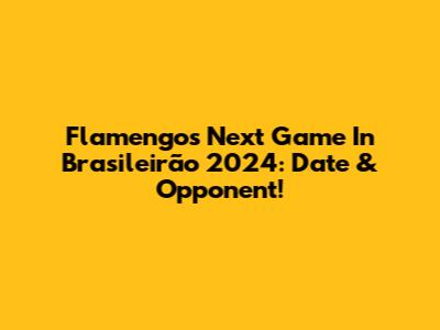 Flamengo's Next Game In Brasileirão 2024: Date & Opponent!