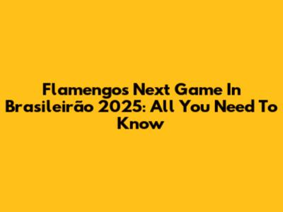 Flamengo's Next Game In Brasileirão 2025: All You Need To Know