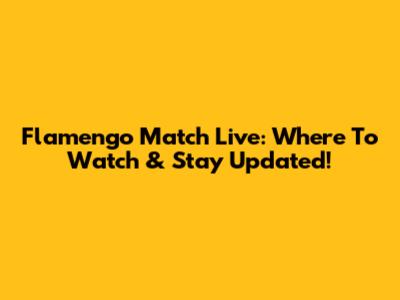 Flamengo Match Live: Where To Watch & Stay Updated!