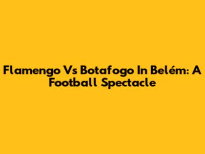 Flamengo Vs Botafogo In Belém: A Football Spectacle
