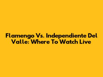 Flamengo Vs. Independiente Del Valle: Where To Watch Live