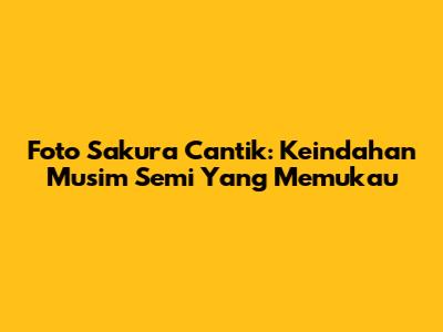 Foto Sakura Cantik: Keindahan Musim Semi Yang Memukau