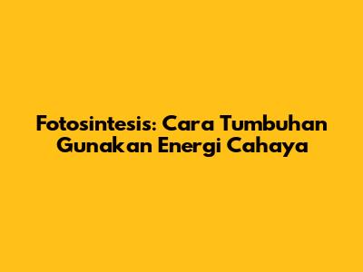 Fotosintesis: Cara Tumbuhan Gunakan Energi Cahaya