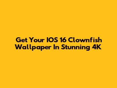 Get Your IOS 16 Clownfish Wallpaper In Stunning 4K