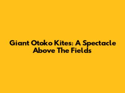 Giant Otoko Kites: A Spectacle Above The Fields