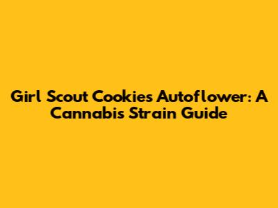 Girl Scout Cookies Autoflower: A Cannabis Strain Guide