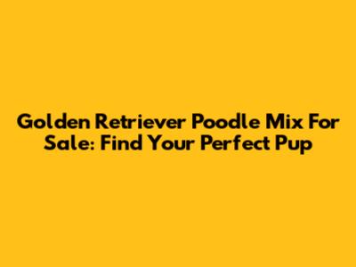 Golden Retriever Poodle Mix For Sale: Find Your Perfect Pup