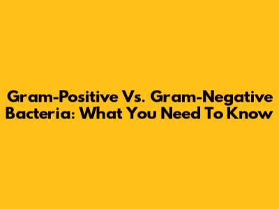 Gram-Positive Vs. Gram-Negative Bacteria: What You Need To Know