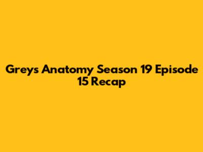 Grey's Anatomy Season 19 Episode 15 Recap