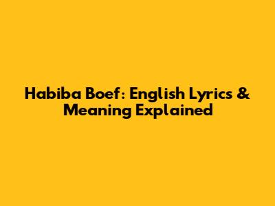 Habiba Boef: English Lyrics & Meaning Explained