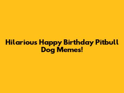 Hilarious Happy Birthday Pitbull Dog Memes!