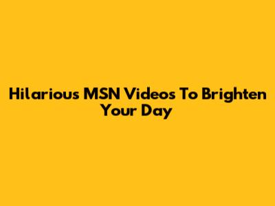 Hilarious MSN Videos To Brighten Your Day