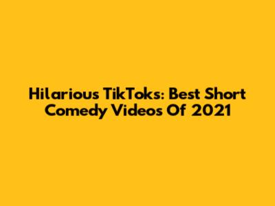 Hilarious TikToks: Best Short Comedy Videos Of 2021