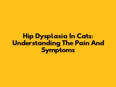 Hip Dysplasia In Cats: Understanding The Pain And Symptoms