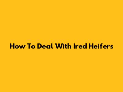 How To Deal With Ired Heifers