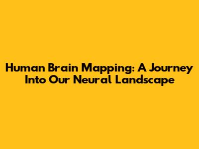 Human Brain Mapping: A Journey Into Our Neural Landscape
