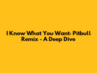 I Know What You Want: Pitbull Remix - A Deep Dive