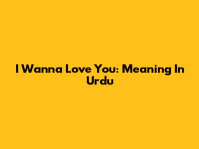 I Wanna Love You: Meaning In Urdu