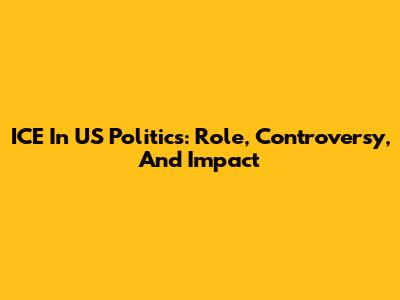 ICE In US Politics: Role, Controversy, And Impact