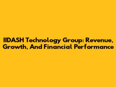 IIDASH Technology Group: Revenue, Growth, And Financial Performance