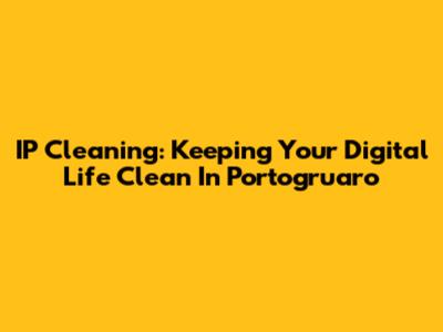 IP Cleaning: Keeping Your Digital Life Clean In Portogruaro