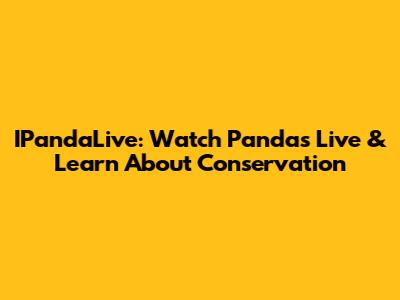 IPandaLive: Watch Pandas Live & Learn About Conservation