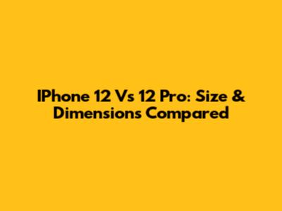 IPhone 12 Vs 12 Pro: Size & Dimensions Compared