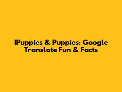 IPuppies & Puppies: Google Translate Fun & Facts